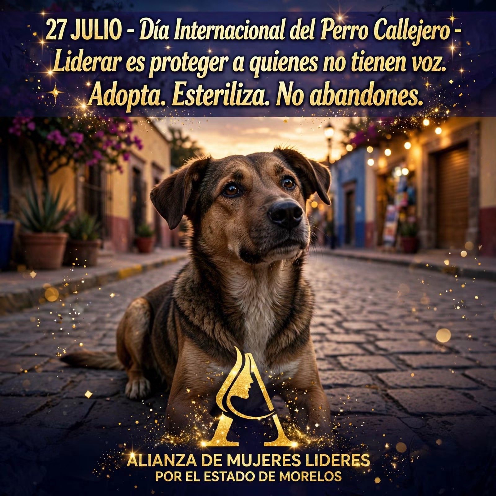 Campaña de protección a perros callejeros